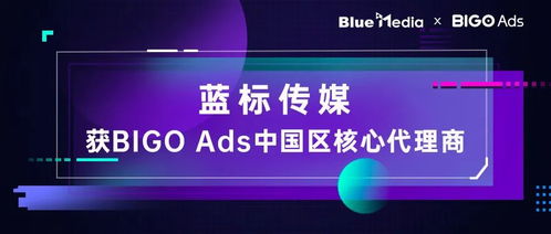 蓝标传媒成为Bigo Ads中国区核心代理商 互联网广告市场的共赢之举